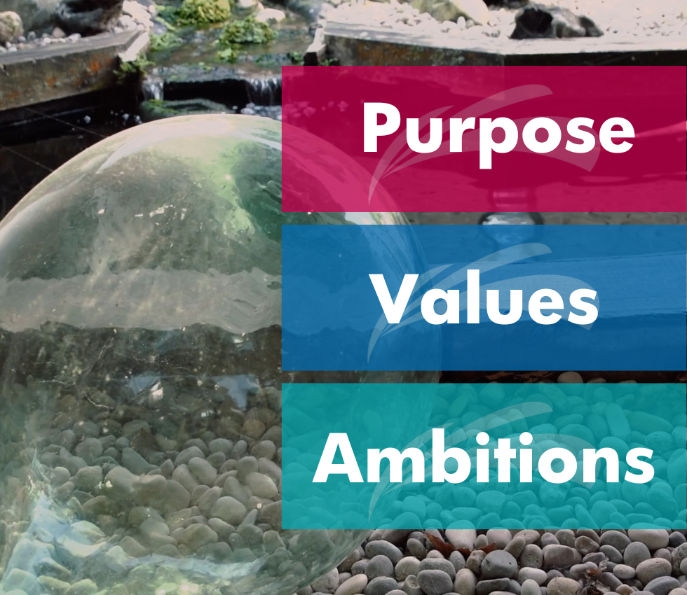 purpose values ambitions