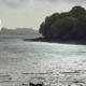 Walk Talk Kernow Trelissick Shoreline